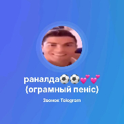 1Mayor1