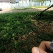 Vadim0