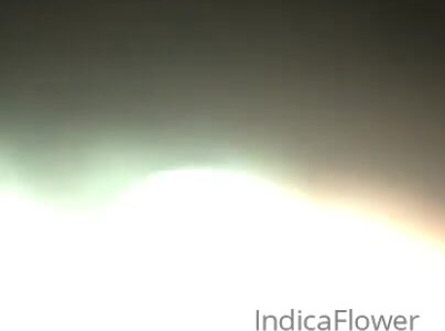 разбушевался чёрный фантомас
