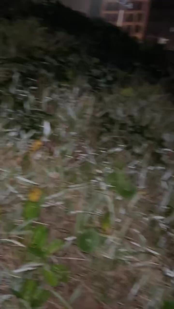 удачная свиданка