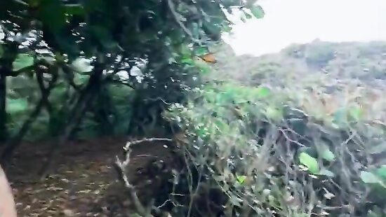 где-то на берегу океана